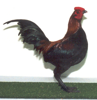 Australian Pit Game Bantam Male2001060903-33